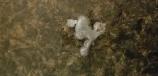 20201123_213427.webp