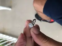silver ring 2.webp