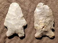 20201124_032315.webp
