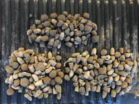 bullets tailgate.webp