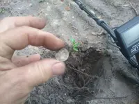 20201031_175533.webp