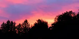 DSCN0593.webp