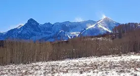 20201111_181646.webp