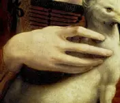 20201007_211933.webp