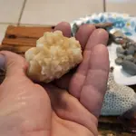 20201107_084816.webp