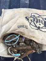 Trash.webp
