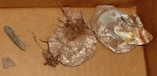 DSCF0052.webp