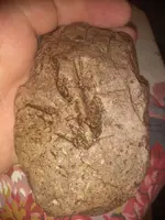 IMG_20201020_193858811.webp