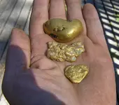 3 nuggs.webp