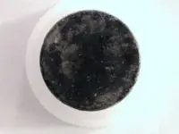 Robinson & Co. Flat Button.webp