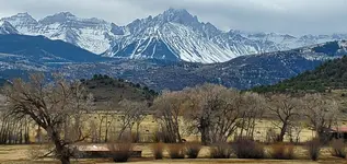 20201124_074751.webp