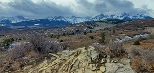 20201124_074823.webp