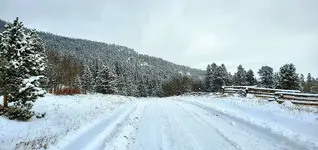 20201124_185532.webp