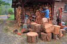 WOODJPG.webp
