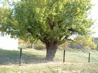 005.webp