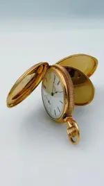 ImageUploadedByTreasureNet.com1601136171.651690.webp