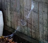 DSCN0690.webp
