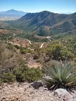 Road up.webp Road up.webp