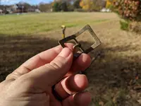 thumbnail_IMG_20201110_135041.webp