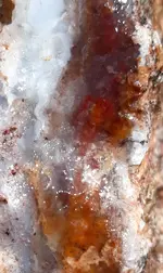 20201021_082124.webp
