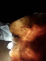 translucentheadrock2a.webp