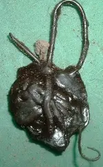 DSCF0009.webp
