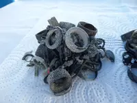 SAM_0110.webp