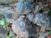 20201113_170710.webp