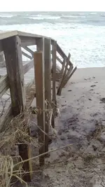 SeagrapeEntranceViewTilt2.webp