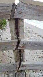SeagrapeEntranceSplitPost.webp