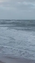 SeagrapeEntranceBeachConditions.webp
