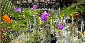 20201105_103140.webp