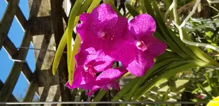 20201124_093300.webp
