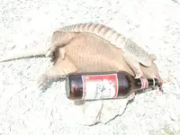 DrunkDilla2.webp