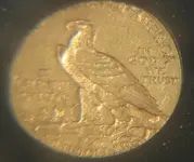 gold coin 2_1.webp