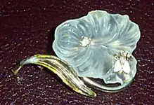 Dcp_0002 copy.webp