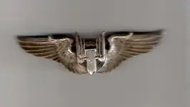 wings.webp