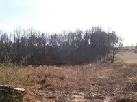 0112field.webp