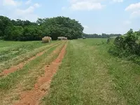 OLD DIRT RD.webp