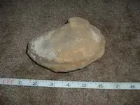 DSCF3101.webp