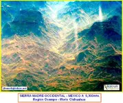 TAYOPA-OCAMPO CHIHUAHUA FLY.webp