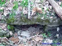 tunnel 2.webp