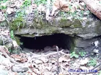 tunnel 3.webp