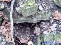 tunnel 4.webp