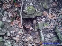 tunnel 5.webp