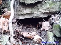 tunnel 6.webp