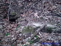 tunnel 8.webp
