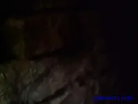 inside tunnel 2.webp
