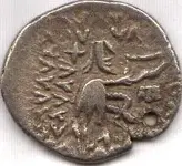 coin reverse.webp