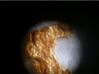 gold 11.webp